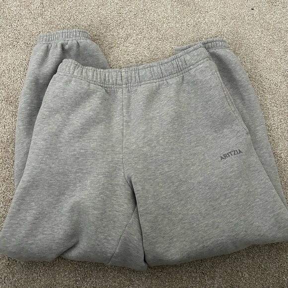 Aritzia Sweatfleece Mega Jogger - Picture 3 of 5